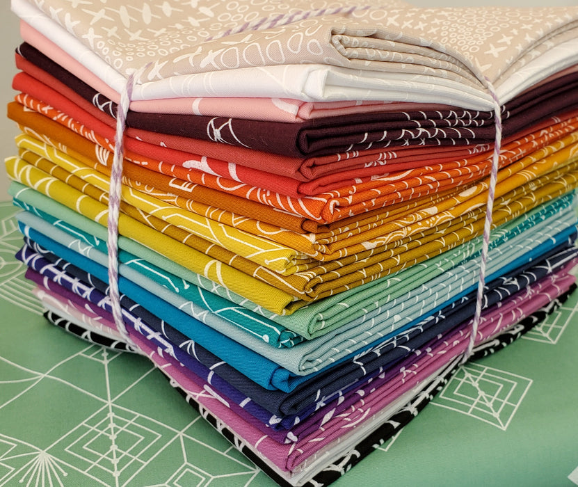 Designer Bundle - Andover Century Prints - Spectrum Mix