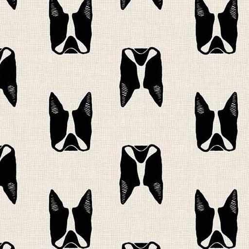 Sarah Golden - Cats and Dogs - Dogs in Black