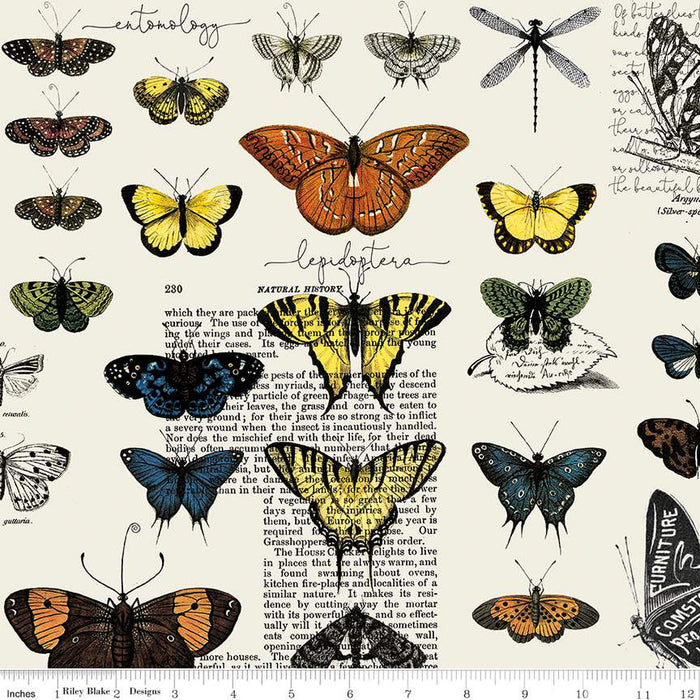 Art Journal - Butterflies in Light Gray