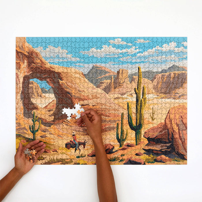 Four Point Puzzle - Paint by Numbers - Desert
