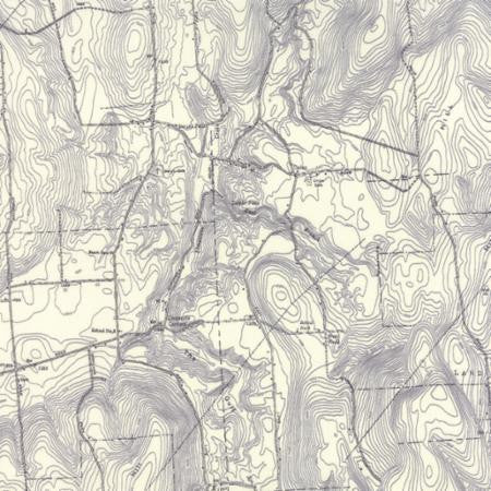 Alpine by Erin Michael Topography Map Grey