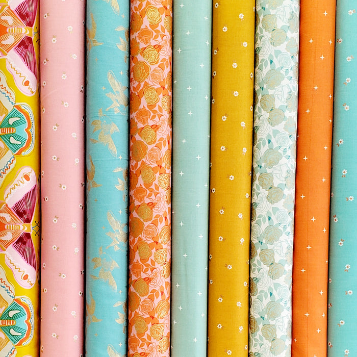 Melody Miller is back with Curio