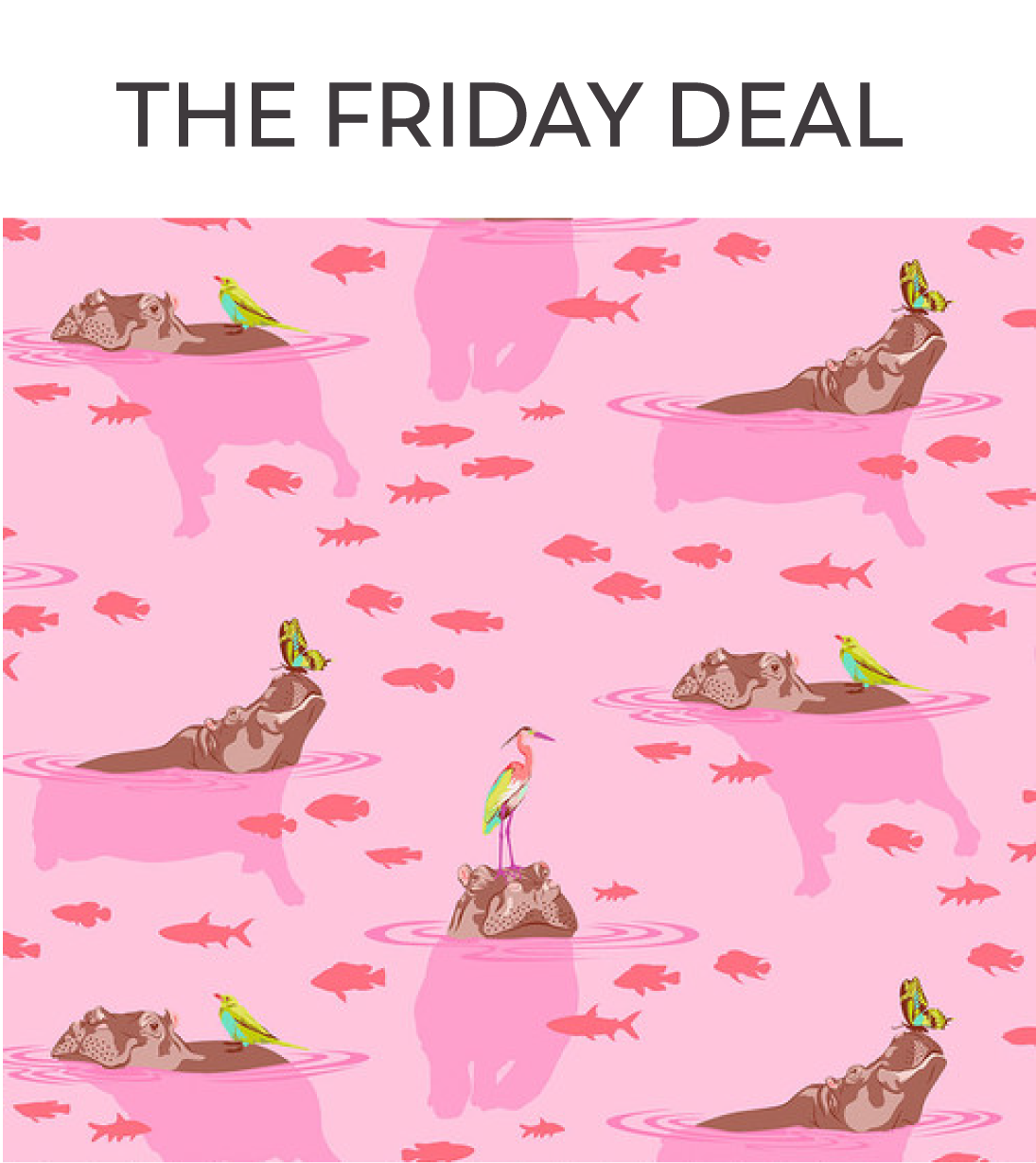 This week's Friday Deal