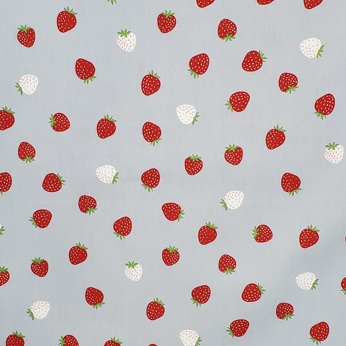 Japanese Cotton Oxford - Strawberries by Hishiei