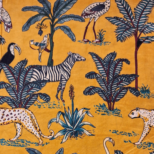 Indian Cotton 2025 - Cotton Velvet - Saffron Zebra and Friends