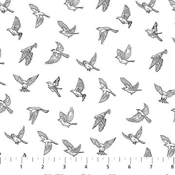Nature's Sketchbook - Birds in Flight in White and Black