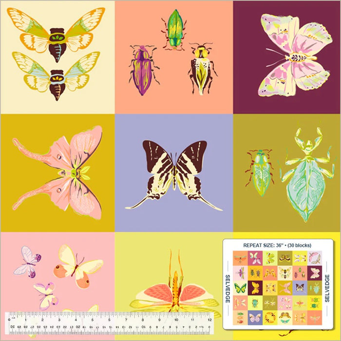 Insectarium by Tamara Kate - Square Dance in Multi PANEL