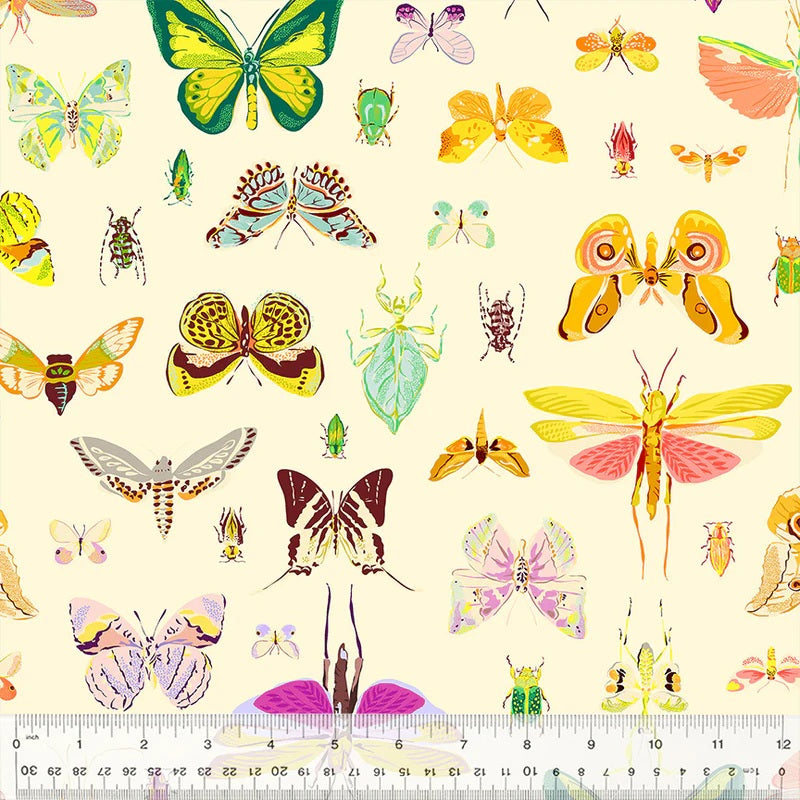 Insectarium by Tamara Kate - On Display in Light — Fabric Spark