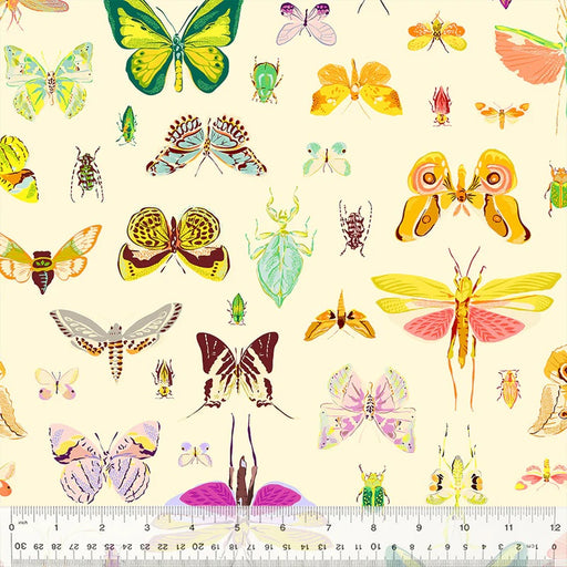 Insectarium by Tamara Kate - On Display in Light