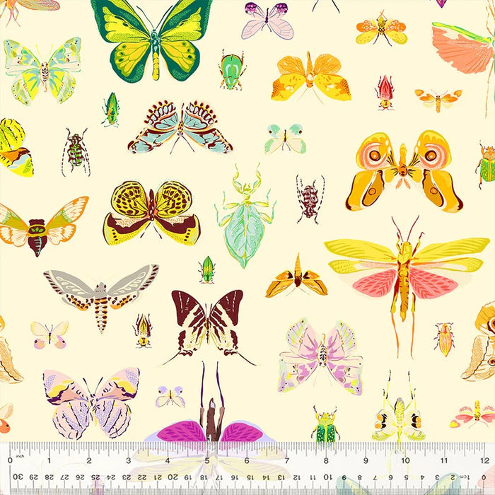 Insectarium by Tamara Kate - On Display in Light