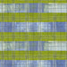 The Plaid One by Marcia Derse - Cool Lime Plaid in Cool Lime