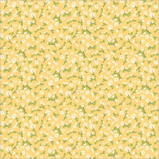 Jennifer Moore - Villa Sol - Chamomile in Sunburst