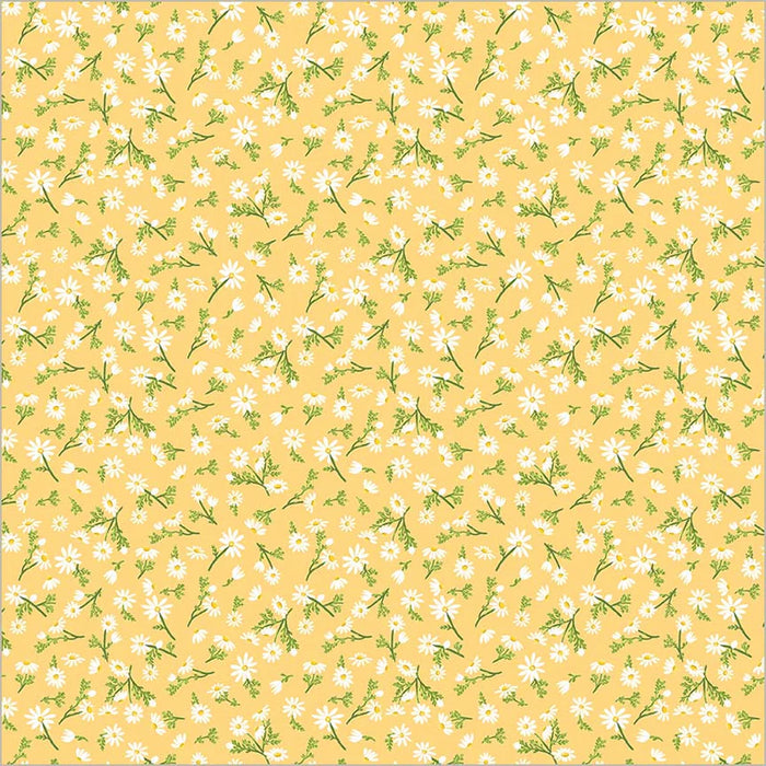 Jennifer Moore - Villa Sol - Chamomile in Sunburst