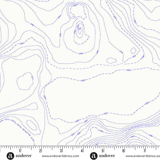 Sun Print Whisper Topography in Pond