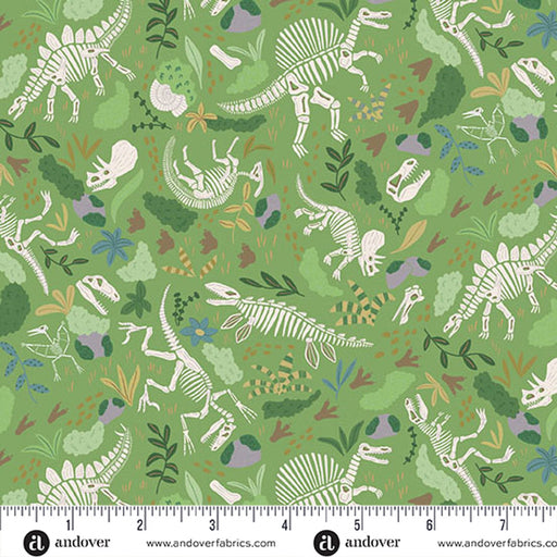 Dinosaur skeleton pattern on a green background with a ruler for scale.