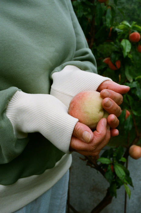 Modern Sewing Co - Rib Sweater [Digital Download]