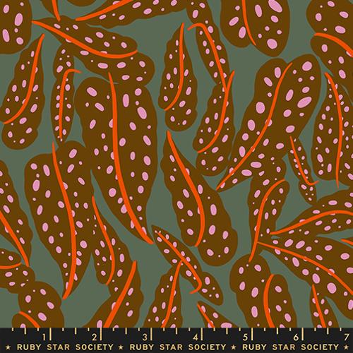 Calathea by Ruby Star Society - Overlapping Leaves in Cocoa