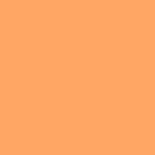 ColorWorks Solids - Apricot