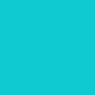 ColorWorks Solids - Lagoon