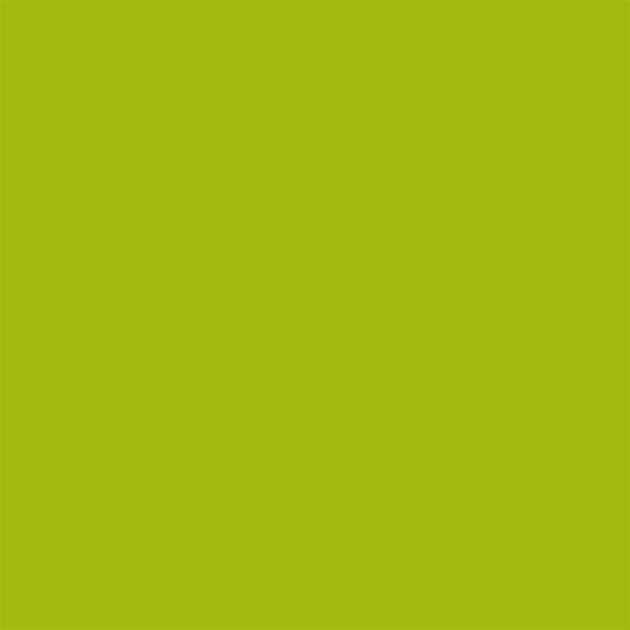 ColorWorks Solids - Matcha