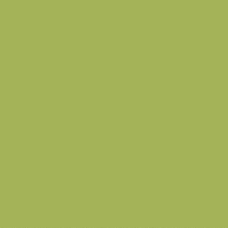 ColorWorks Solids - Kiwi