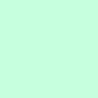 ColorWorks Solids - Frosted Mint