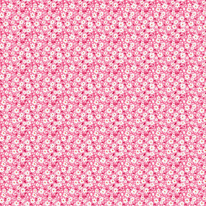 Small white flowers on a pink background