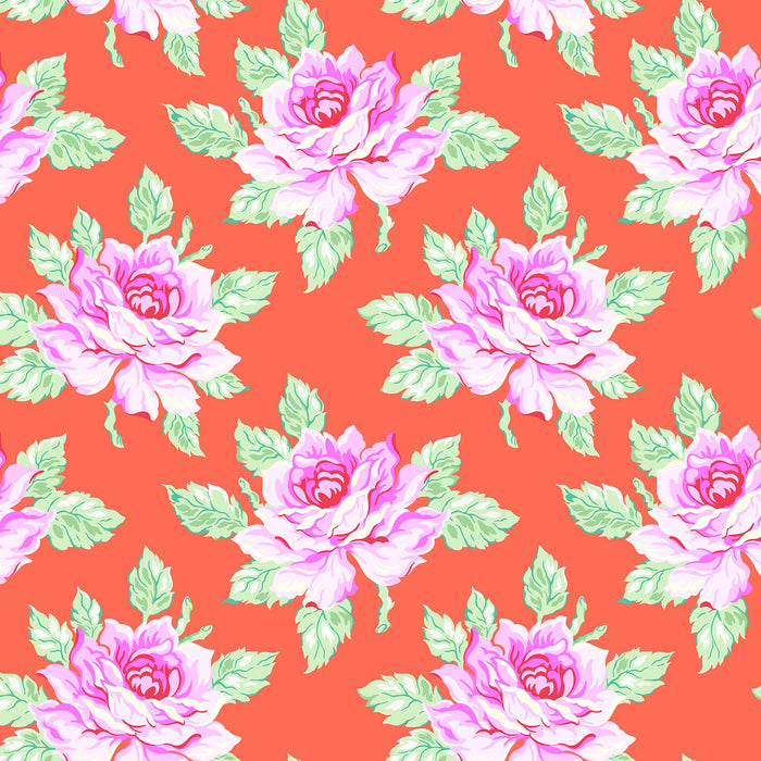 Daisy Crush by Heather Bailey - Hello Roses in Coral