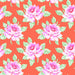 Daisy Crush by Heather Bailey - Hello Roses in Coral
