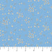 Floral pattern fabric swatch on a blue background