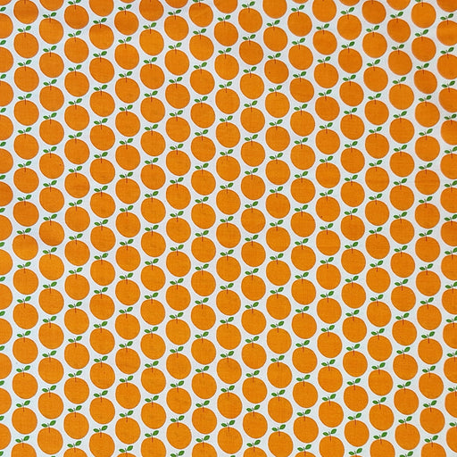 orange citrus fruit in close up on white background