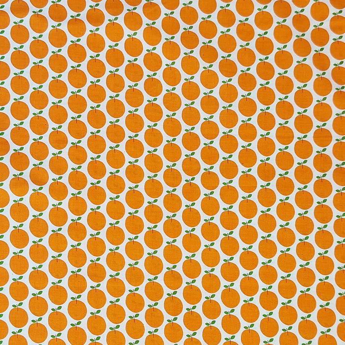 orange citrus fruit in close up on white background