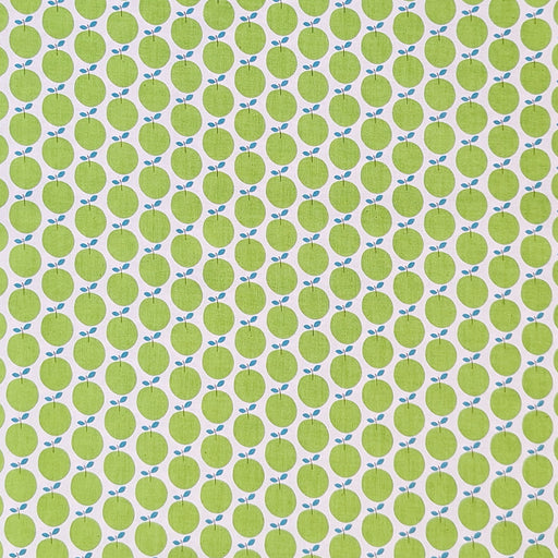 green fruits on a white background