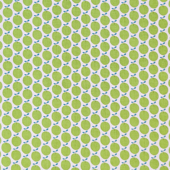 green fruits on a white background