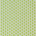 green fruits on a white background