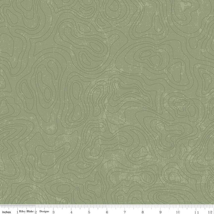 Riley Blake National Parks - Topographic in Green