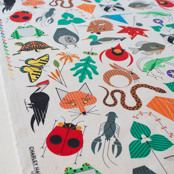 Charley Harper Organic Cotton Canvas - Space for All