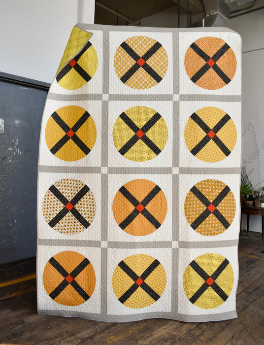 Wagon Wheel by Denyse Schmidt - Quilt Workshop