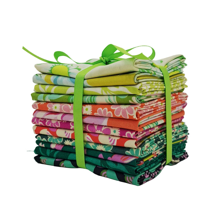 Designer Bundle - Daisy Crush by Heather Bailey 11 x FQ