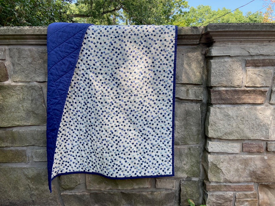 Whole Cloth Quilt Workshop - two part series