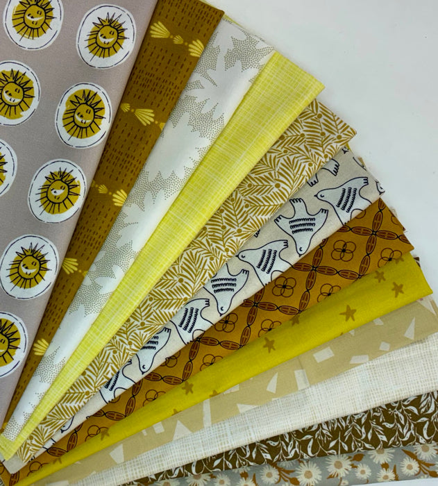 12 Months of Daryl's Picks