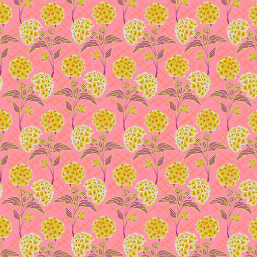 Floral Fabric — Fabric Spark