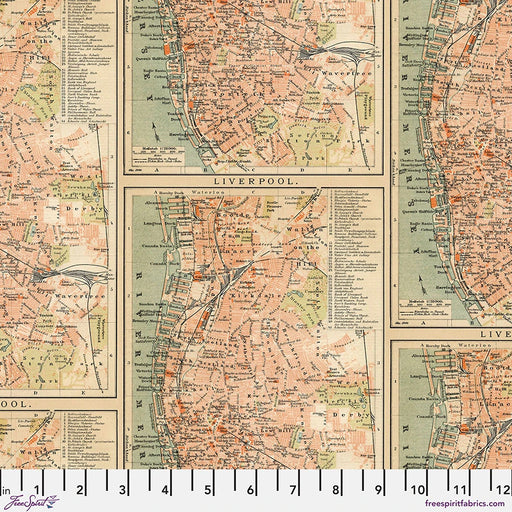 Tim Holtz Palette Curated - Maps in Orange