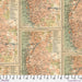 Tim Holtz Palette Curated - Maps in Orange