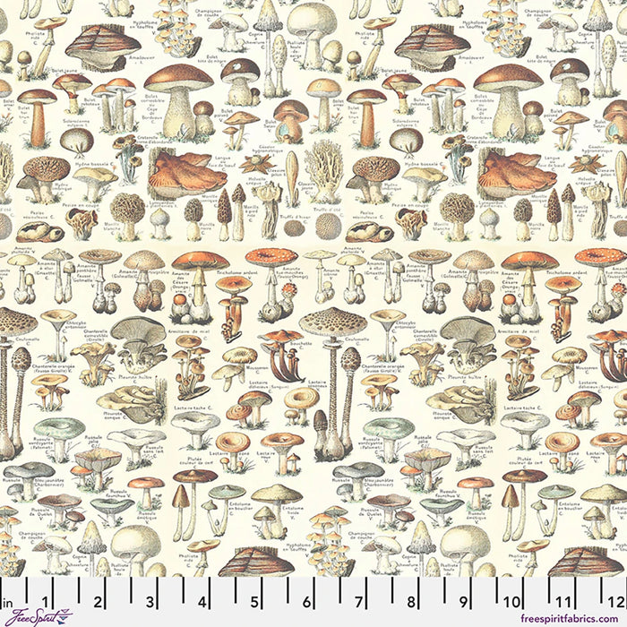 Tim Holtz Palette Curated - Orange Toadstools