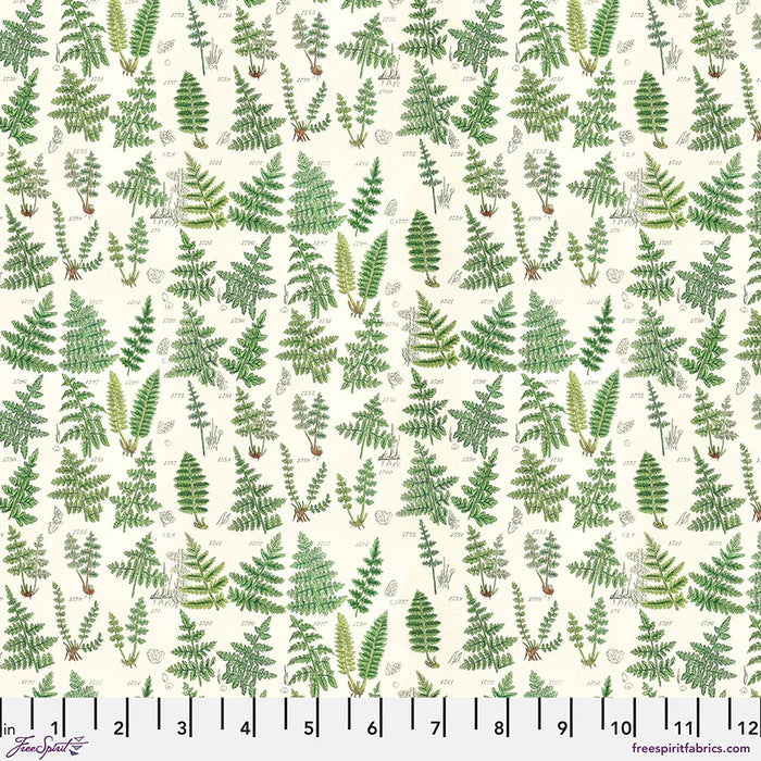Tim Holtz Palette Curated - Ferns in Green