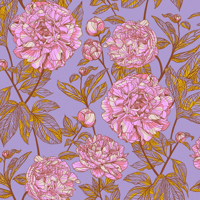 Anna Maria Horner - Our Fair Home Quilt Back 108" - Peony in Heather