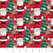 Rudolph The Red-Nosed Reindeer - Santa
