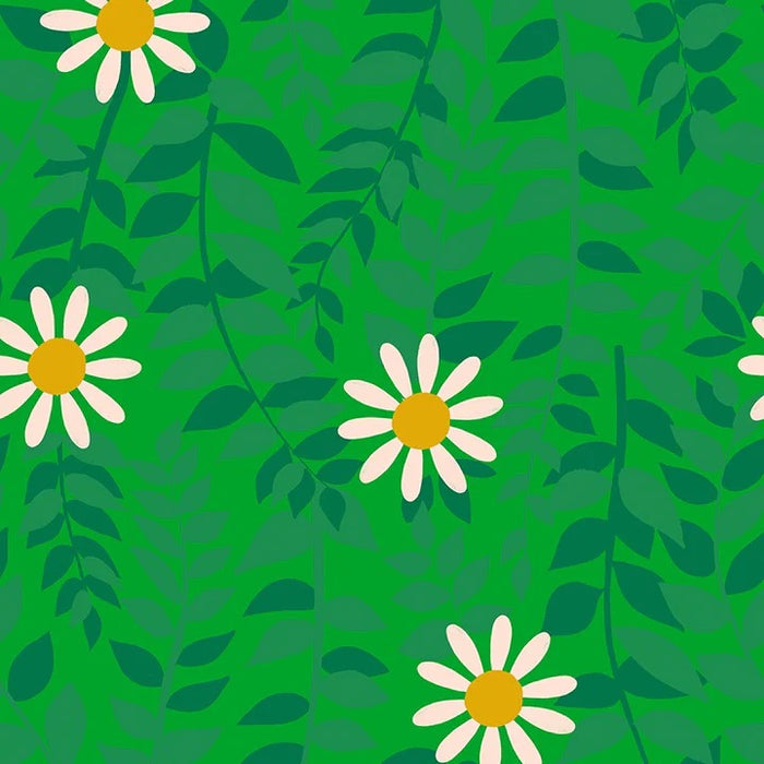 Melody Miller Flowerland - Daisies in Verdant