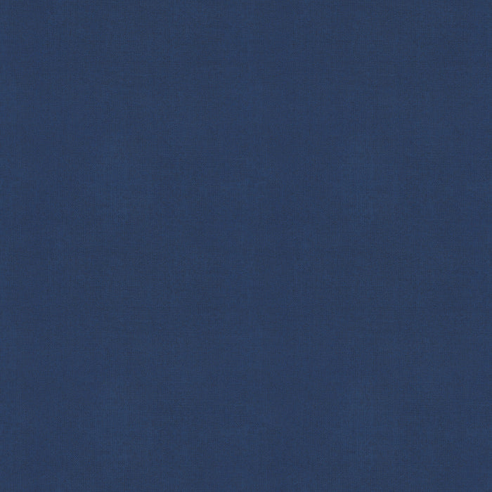 Alexia Abegg for Ruby Star Society - Warp & Weft Hue Crossweave Cotton Wovens - Thunder